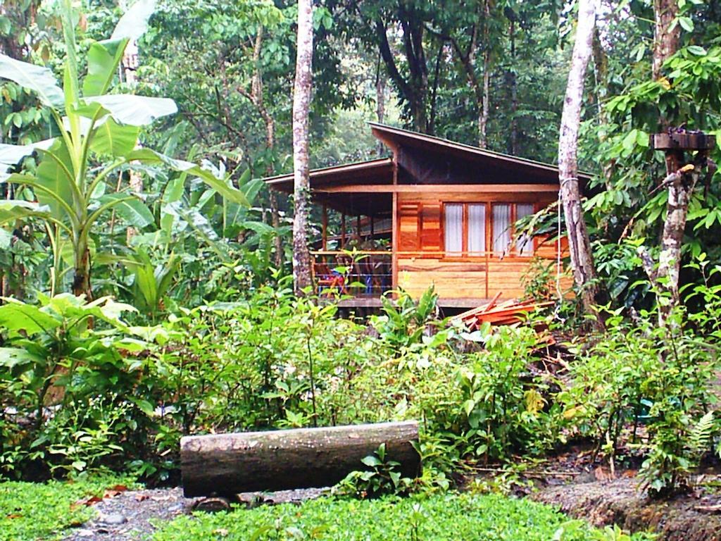El Tucan Jungle Lodge Puerto Viejo de Talamanca Exterior foto