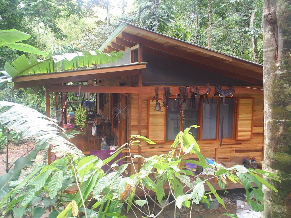 El Tucan Jungle Lodge Puerto Viejo de Talamanca Zimmer foto