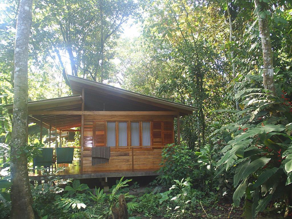 El Tucan Jungle Lodge Puerto Viejo de Talamanca Zimmer foto