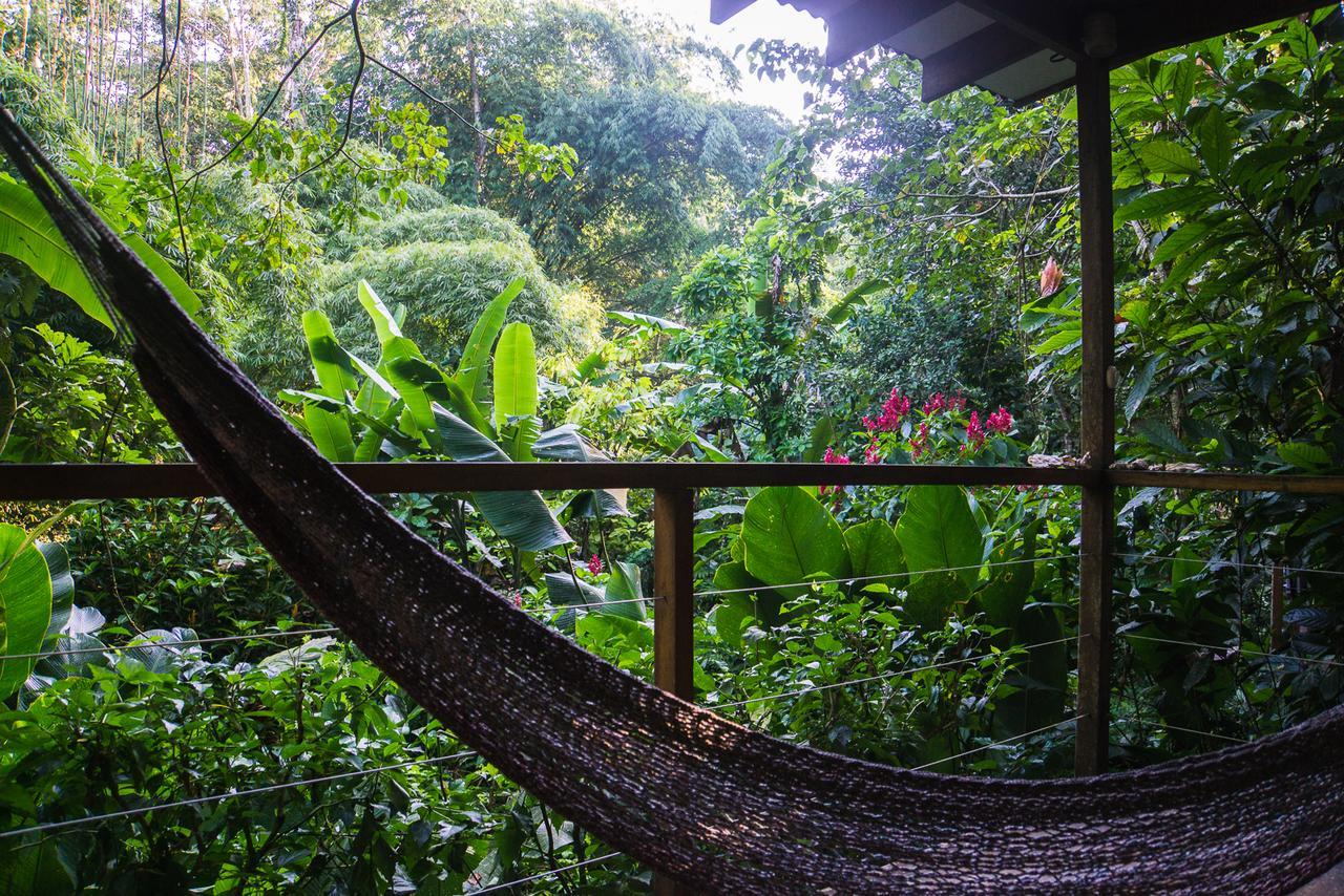 El Tucan Jungle Lodge Puerto Viejo de Talamanca Exterior foto