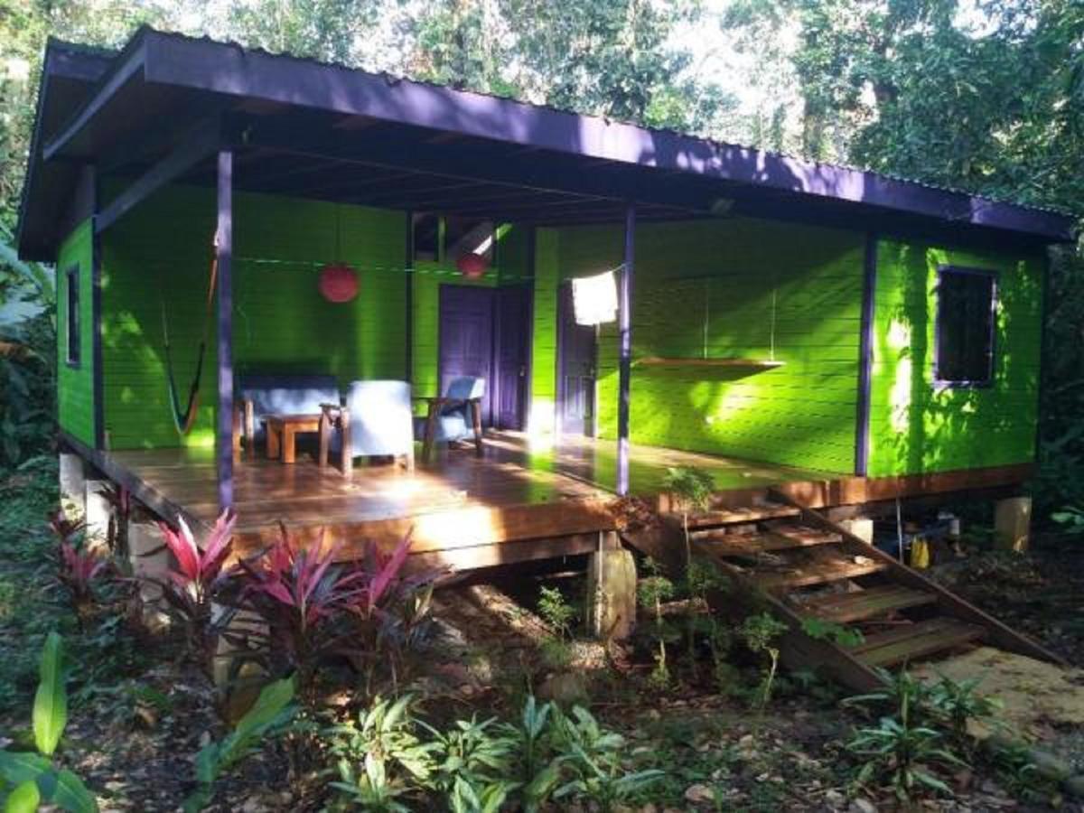El Tucan Jungle Lodge Puerto Viejo de Talamanca Exterior foto