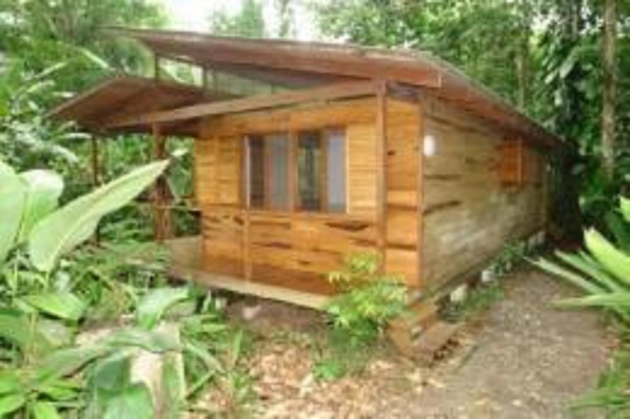 El Tucan Jungle Lodge Puerto Viejo de Talamanca Exterior foto